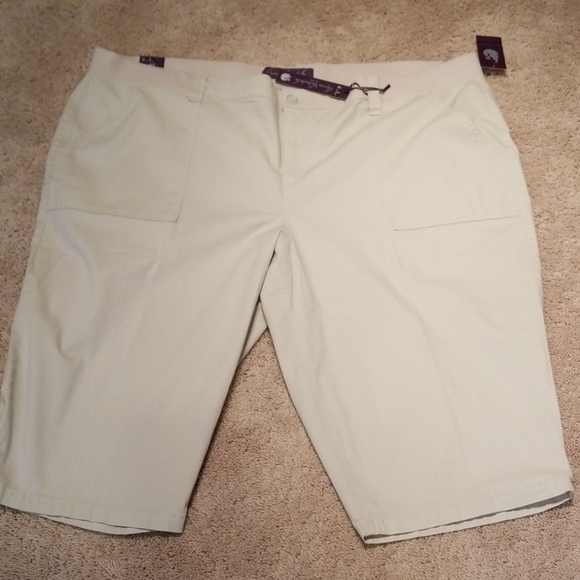 + (Plus) NWT capris - 24W - Picture 2 of 6